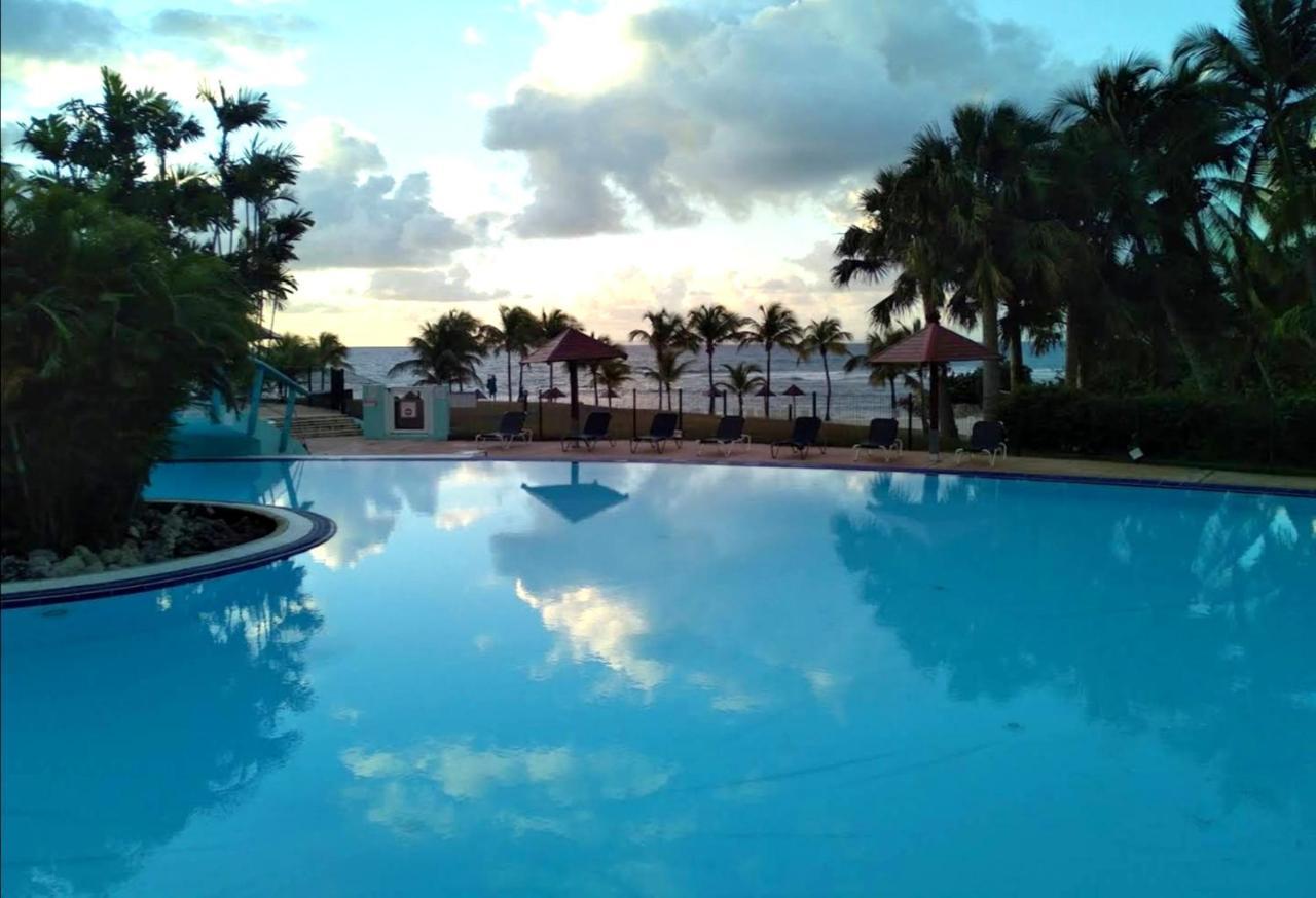 شقة La Perle Des Caraibes ساينت آن المظهر الخارجي الصورة